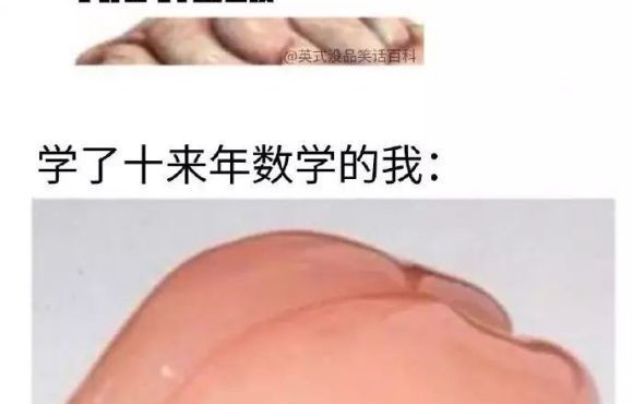 数学是真的懵逼！