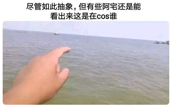 不懂就问，这到底是COS谁啊