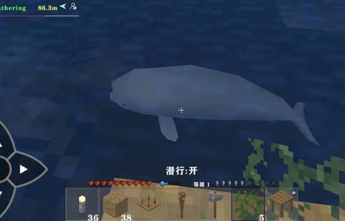 海底生物