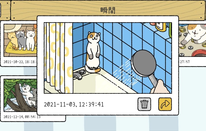 偶然翻到的猫猫洗澡图