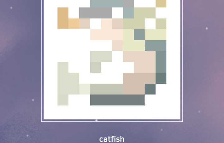 catfish？