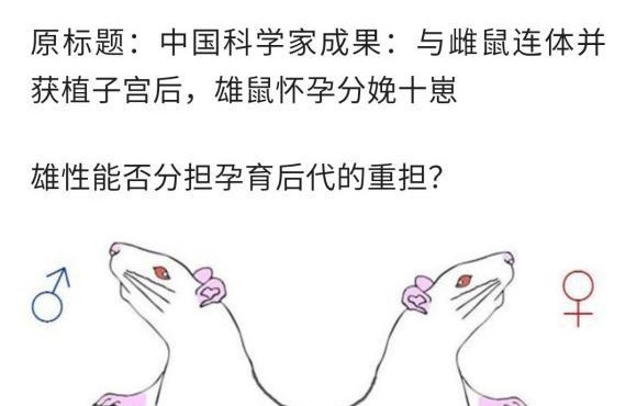 我悟了，女装山脉原来是科幻作品