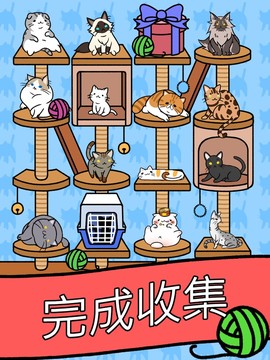 猫咪公寓 - Cat Condo图片2
