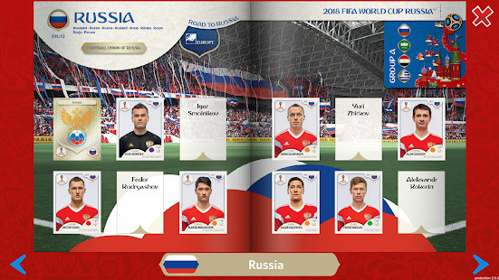 Panini Sticker Album图片7