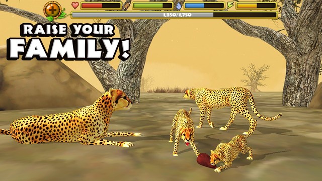 猎豹模拟图片5