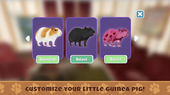 Guinea Pig Simulator: House Pet Survival图片4