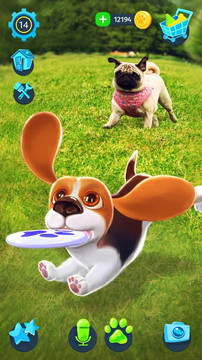 Tamadog - My talking Dog Game (AR) ? Virtual pet图片1