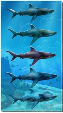 Shark Attack Game - Blue whale sim图片3