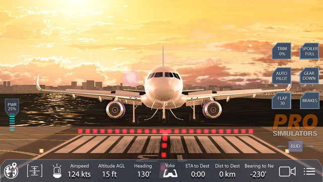 Pro Flight Simulator NY Free图片2