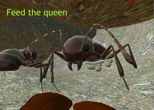 蚂蚁模拟3D图片7