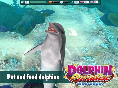 Dolphin Paradise: Wild Friends图片13