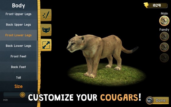 Wild Cougar Sim 3D图片5