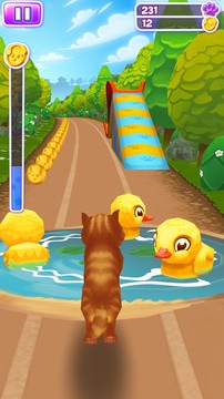 Pet Run - Puppy Dog Game图片7