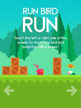 Run Bird Run图片9