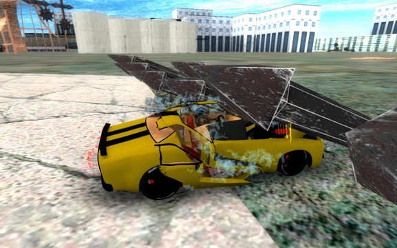 Real Car Crash图片4