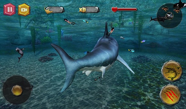 深海狂鲨图片7