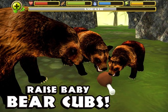 棕熊模拟图片10