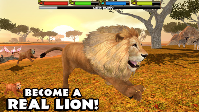 Ultimate Lion Simulator图片8