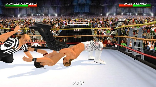 摔跤革命3D修改版图片13