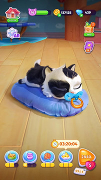 Catapolis- 猫咪游戏 ⋆ 电子宠物 | 我的虚拟宠物 - 喵咪图片6