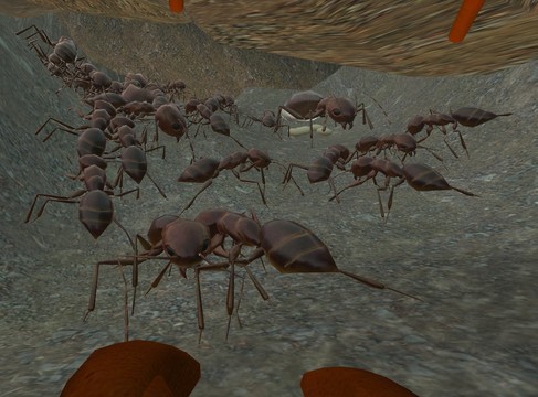 蚂蚁模拟3D图片6