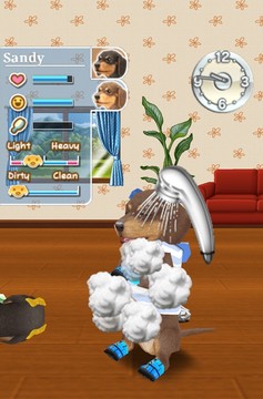 My Dog My Room Free图片2