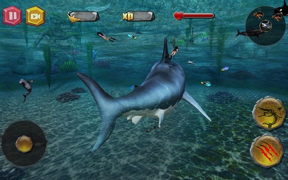 深海狂鲨图片9