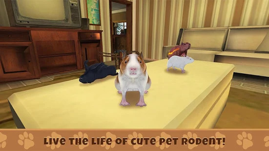 Guinea Pig Simulator: House Pet Survival图片1