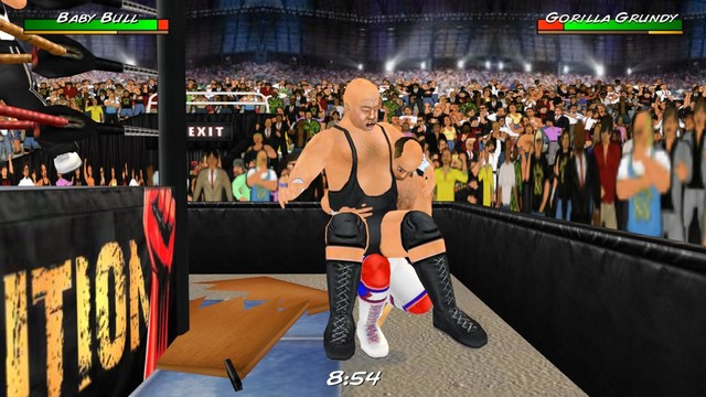 摔跤革命3D修改版图片19