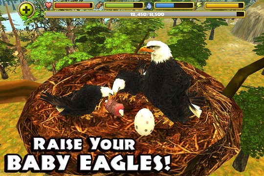 Eagle Simulator™图片3