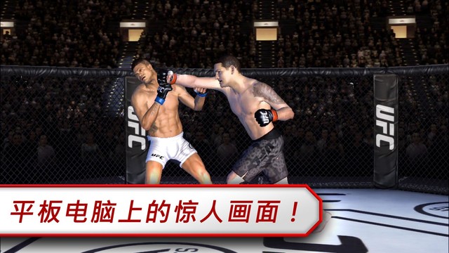 UFC斗士图片4