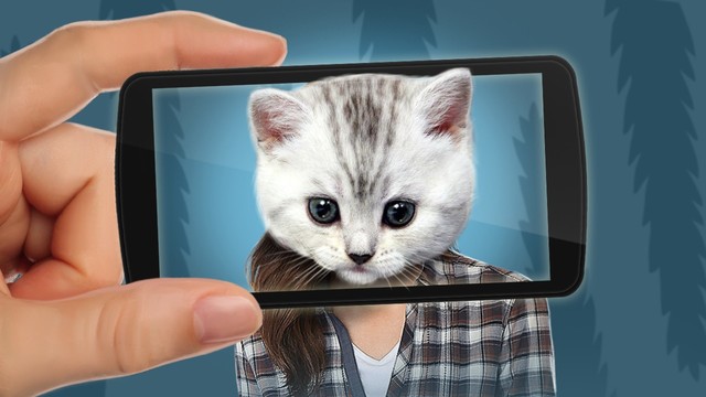 脸部扫描：是什么猫2图片1