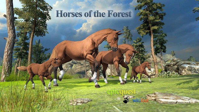 Horses of the Forest图片2