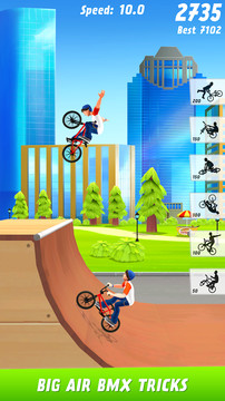 Max Air BMX图片6