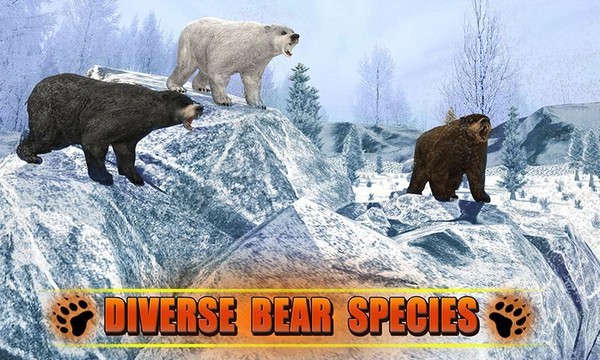 Bear Revenge 3D图片3