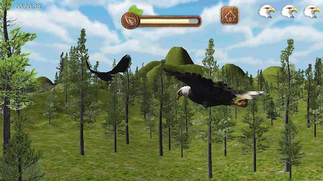 Eagle Play图片6