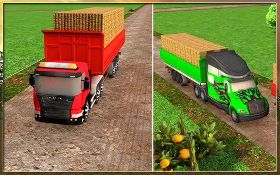 Farm Truck Silage Transporter图片14