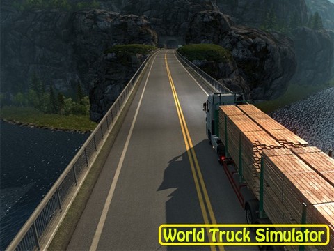 World Truck Simulator图片1