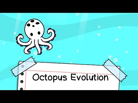 Octopus Evolution - ? Clicker图片10