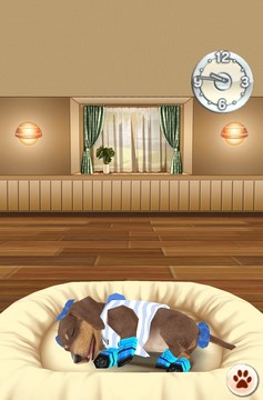 My Dog My Room Free图片3