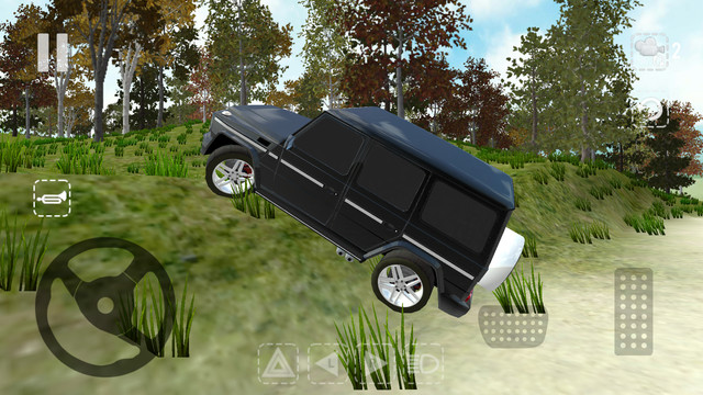 Offroad Car G图片8