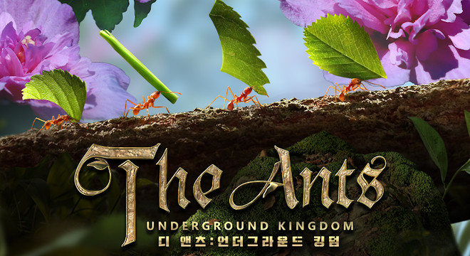 蚂蚁：地下王国图片1