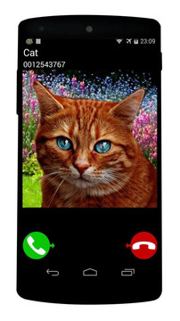 fake call cat game图片3