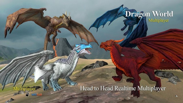 Dragon Multiplayer 3D图片5