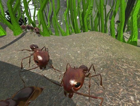 蚂蚁模拟3D图片1