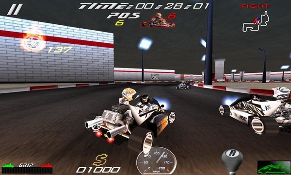 Kart Racing Ultimate Free图片1