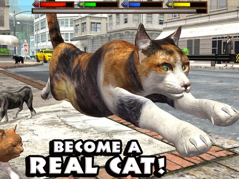 终极猫咪模拟修改版图片1