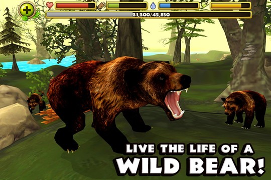棕熊模拟图片6