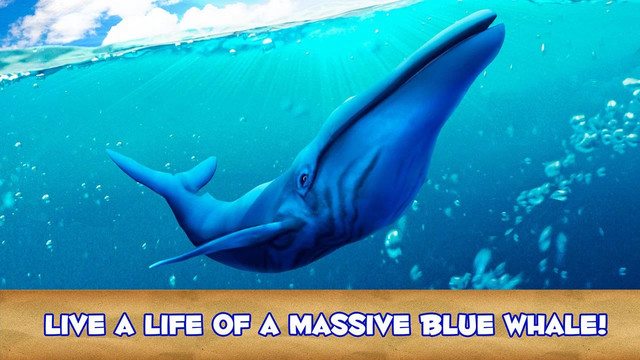 Blue Whale Simulator 3D图片3