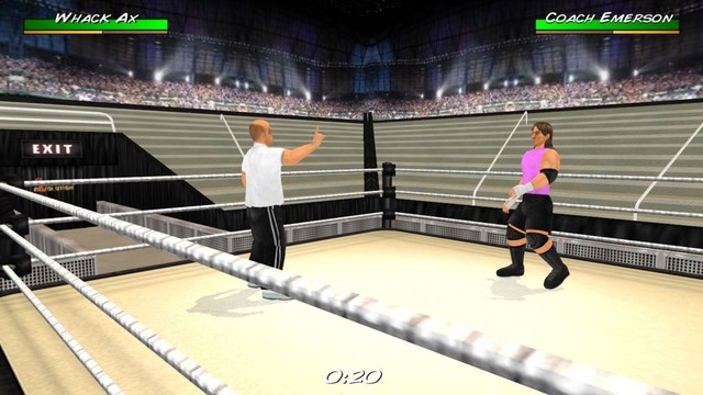 摔跤革命3D修改版图片2